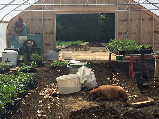 Grow Compost in Moretown. Photo: Rachel Goff